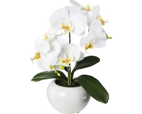 Kunstplant Vlinderorchidee wit in pot H 35 cm