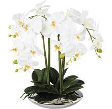 Kunstmatige witte orchidee in pot