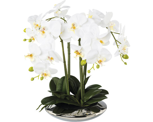 Kunstplant Vlinderorchidee wit in schaal H 41 cm
