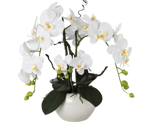 Kunstplant Vlinderorchidee arrang wit in schaal H 55 cm
