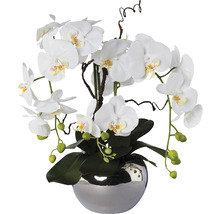 Decoratieve witte orchidee in zilverkleurige vaas