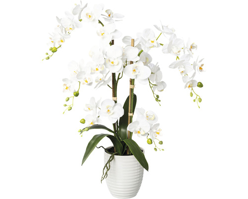 Kunstplant Vlinderorchidee wit in pot H 67 cm