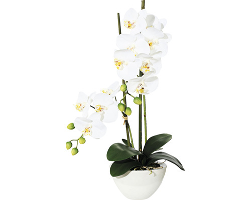 Kunstplant Vlinderorchidee wit in schaal H 50 cm