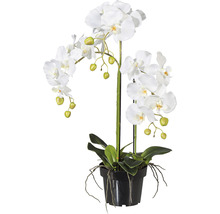 Kunstmatige witte orchidee in pot als decoratie