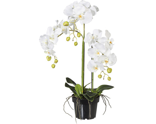 Kunstplant Vlinderorchidee wit in pot H 62 cm