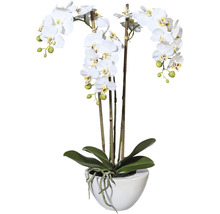 Kunstmatige witte orchidee in witte pot