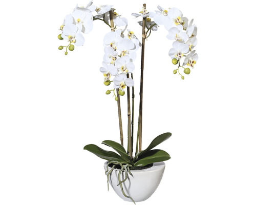 Kunstplant Mini vlinderorchidee wit in schaal H 51 cm