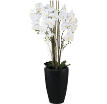 Kunstmatige witte orchidee in zwarte pot voor decoratie