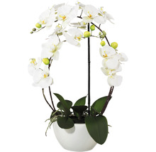 Decoratieve orchidee in een witte pot