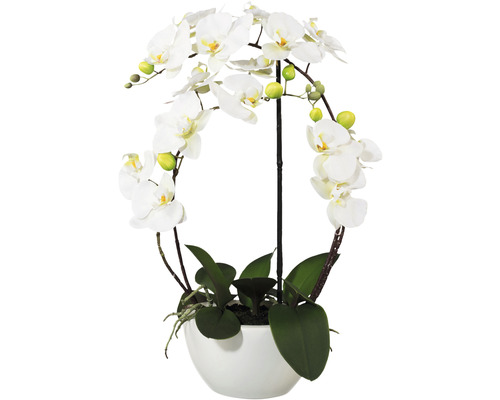Kunstplant Vlinderorchidee wit in pot H 52 cm