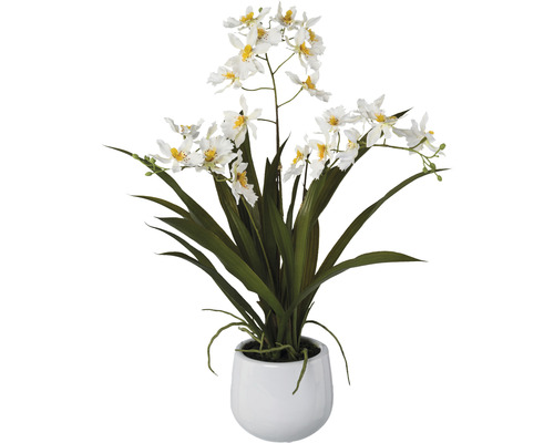Kunstplant Orchidee gambia wit in pot H 50 cm