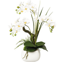 Kunstorchidee in een pot voor decoratie