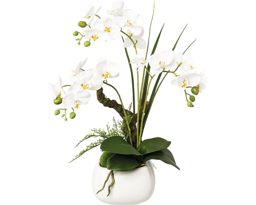 Kunstplant Vlinderorchidee wit in pot H 46 cm