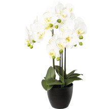 Kunstmatige witte orchidee in zwarte pot als decoratie