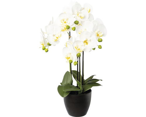 Kunstplant Vlinderorchidee wit in pot H 55 cm