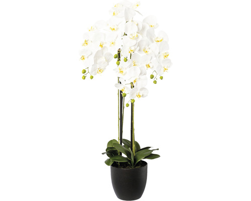 Kunstplant Vlinderorchidee wit in pot H 99 cm