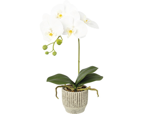 Kunstplant Vlinderorchidee wit in pot H 36 cm