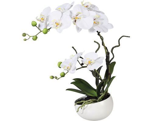 Kunstplant Vlinderorchidee wit in schaal H 42 cm