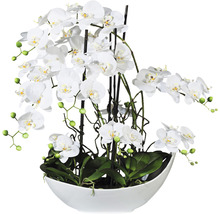 Decoratieve orchidee in een schaal als tafeldecoratie