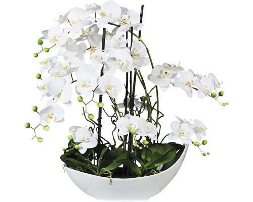 Kunstplant Vlinderorchidee arrang wit in schaal H 68 cm