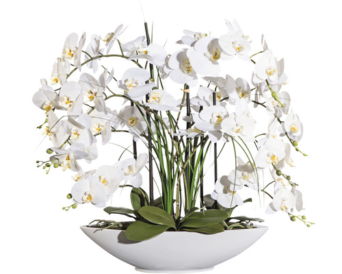 Kunstplant Vlinderorchidee wit in schaal H 70 cm