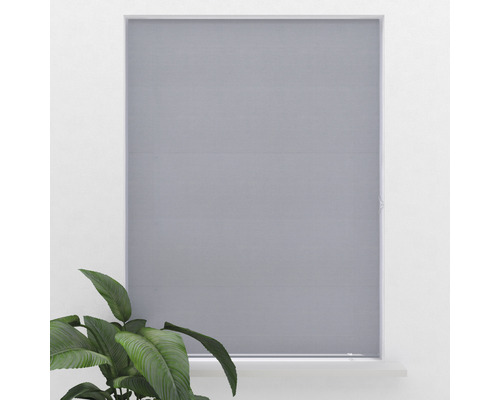 Grijs rolgordijn voor een raam met een kamerplant