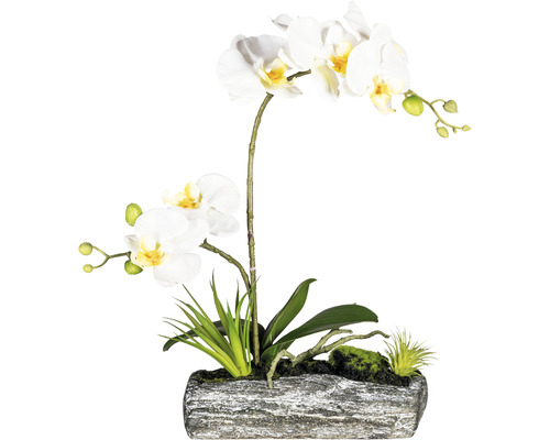 Kunstplant Vlinderorchidee arrang crème in schaal H 40 cm