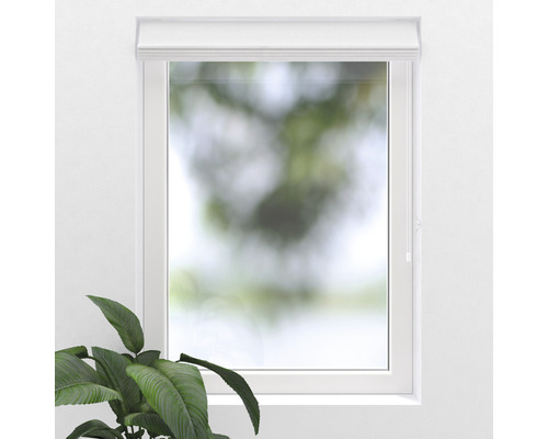 Raam met rolgordijn voor schaduw