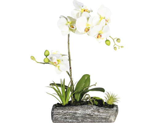 Kunstplant Vlinderorchidee arrang lichtgroen in schaal H 40 cm