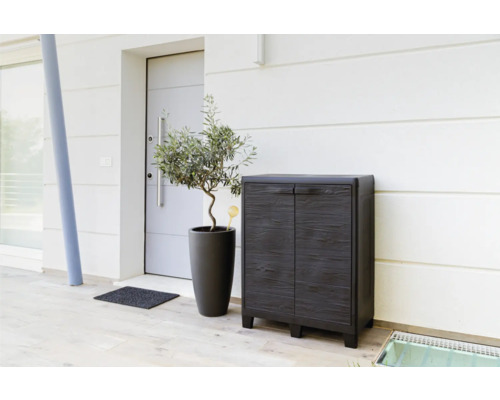 Entree met schoenenkast, plant in pot en deurmat