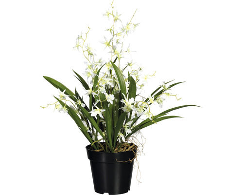 Kunstplant Oncidium orchidee dancing queen groen wit in pot H 60 cm