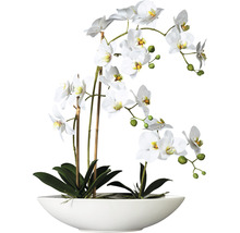Decoratieve witte orchidee in een keramische schaal