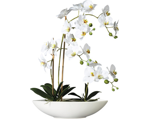 Kunstplant Vlinderorchidee wit in schaal H 60 cm