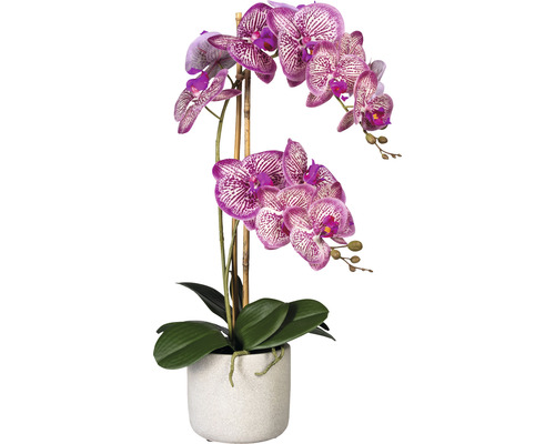 Kunstplant Vlinderorchidee pinkcrème in pot H 60 cm