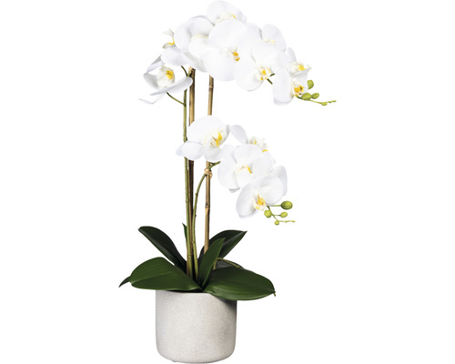 Kunstplant Vlinderorchidee wit in pot H 60 cm
