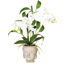 Decoratieve orchidee met bloempot in de vorm van een boeddhabeeld