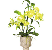 Gele orchidee in bloempot met Boeddha hoofd motief
