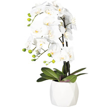 Kunstmatige orchidee in pot