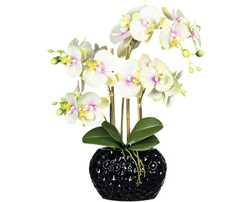 Kunstplant Vlinderorchidee groen crème in vaas H 55 cm