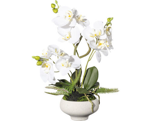 Kunstplant Vlinderorchidee wit in pot H 50 cm