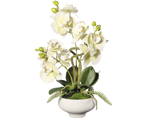 Kunstplant Vlinderorchidee groen in pot H 50 cm