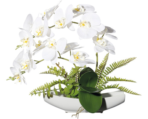Kunstplant Vlinderorchidee wit in schaal H 40 cm