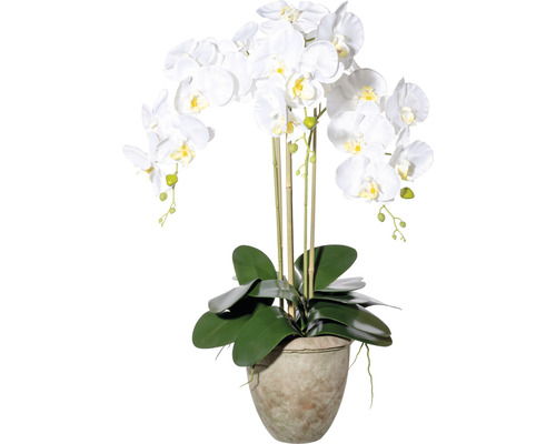 Kunstplant Vlinderorchidee wit in pot H 75 cm
