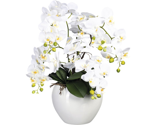 Kunstplant Vlinderorchidee wit in pot H 56 cm