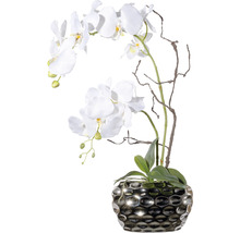 Decoratieve orchidee in zilverkleurige pot