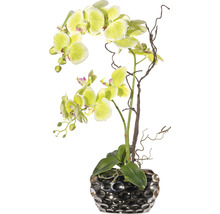 Gele orchidee in een zilverkleurige sierpot ter decoratie