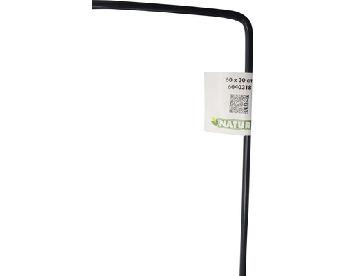 Plantensteun van metaal, 60 x 30 cm