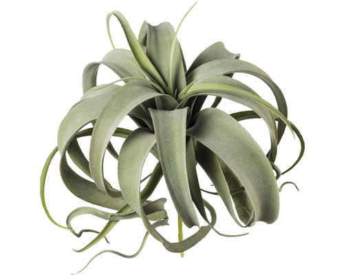 Kunstplant Tillandsia groen H 28 cm