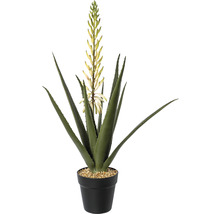Kunstmatige Aloë Vera plant in pot
