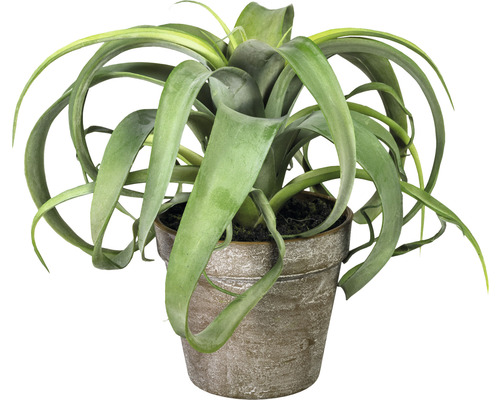 Kunstplant Tillandsia xerographica groen in pot H 24 cm